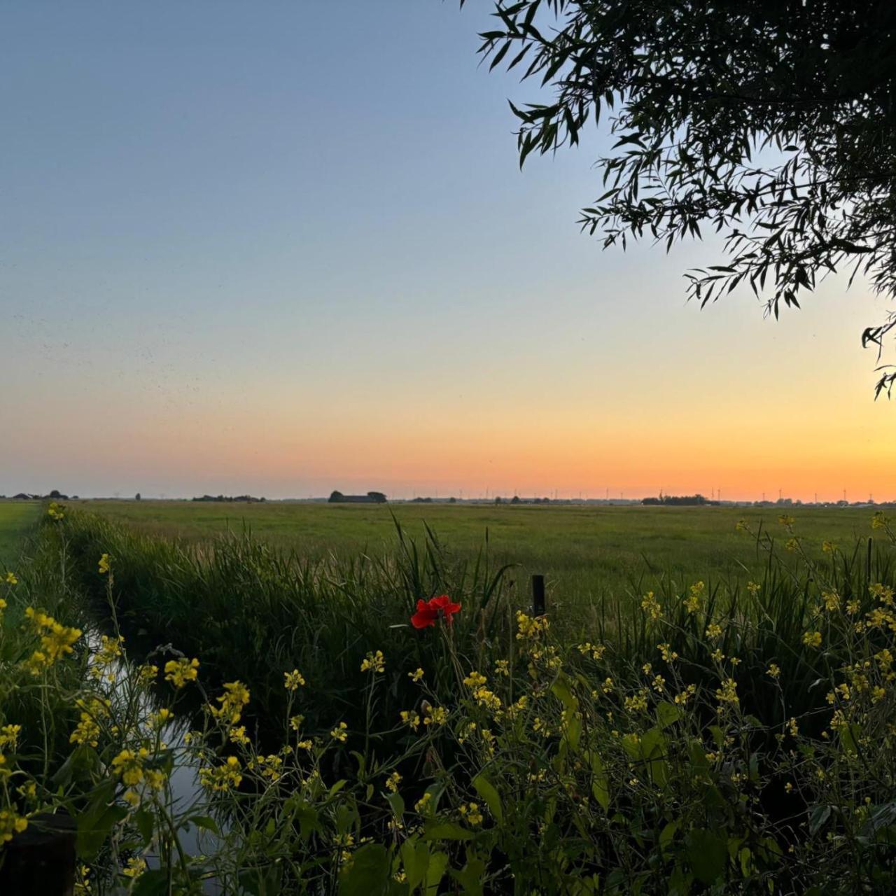 Aan De Hoge Weg Bed & Breakfast Kamperveen Luaran gambar